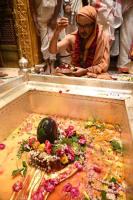  HH Swamiji performs Abhisheka at Shri Kashi Vishwanath Temple, renders the bhajans 'Mahadeva Sharanam' and 'Samba Sadashiva' (26.03.2025)